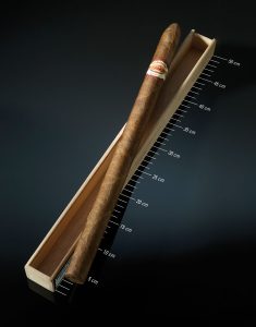 aurora-stravaganza_small